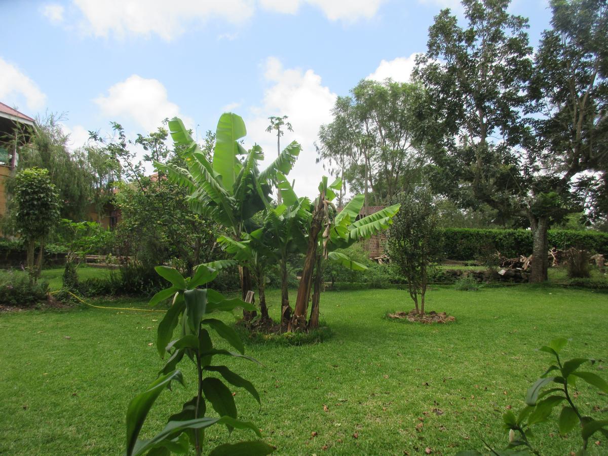 Kilimanjaro Eco Lodge Usa River Buitenkant foto